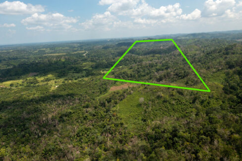 OntarioVillageHillProperty4