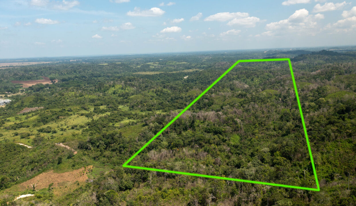 OntarioVillageHillProperty5