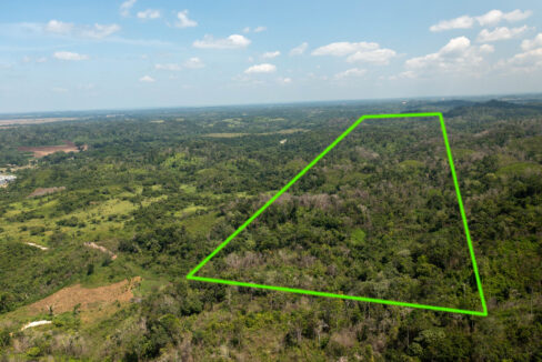 OntarioVillageHillProperty5