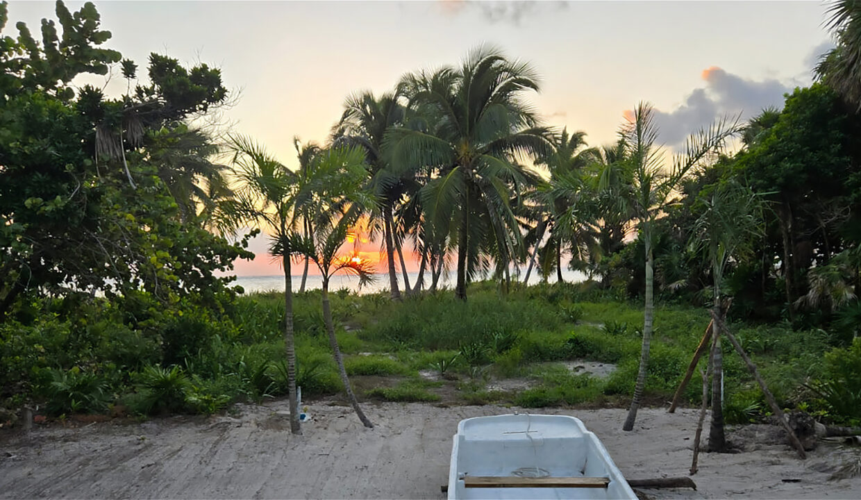 PalmeroPoint1BD-1