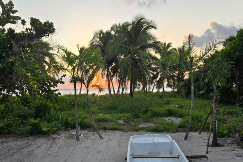 PalmeroPoint1BD-1