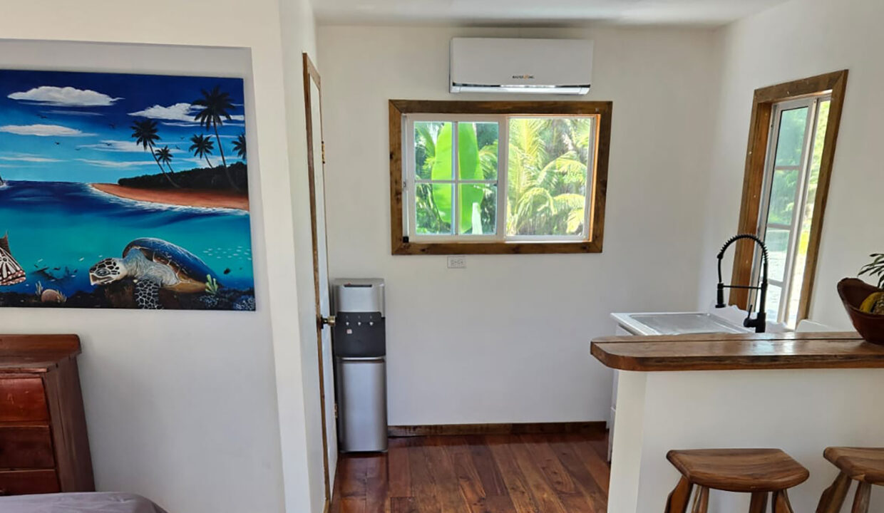 PalmeroPoint1BD-10
