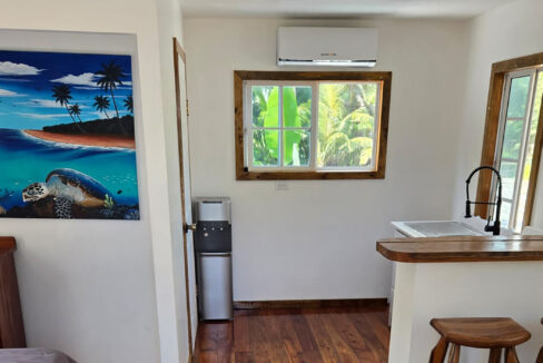 PalmeroPoint1BD-10