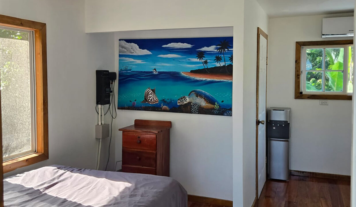 PalmeroPoint1BD-11