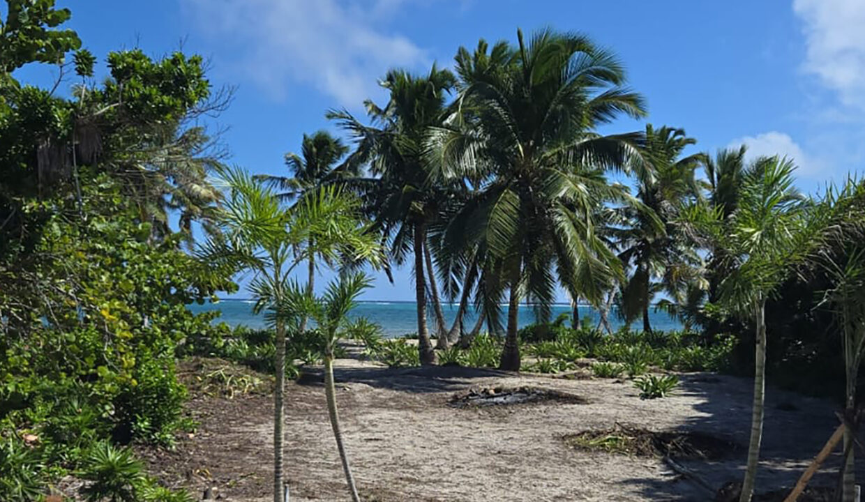 PalmeroPoint1BD-14