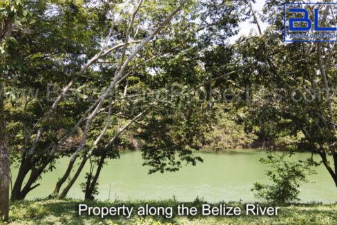 Property-Along-Belize-River-1110x623