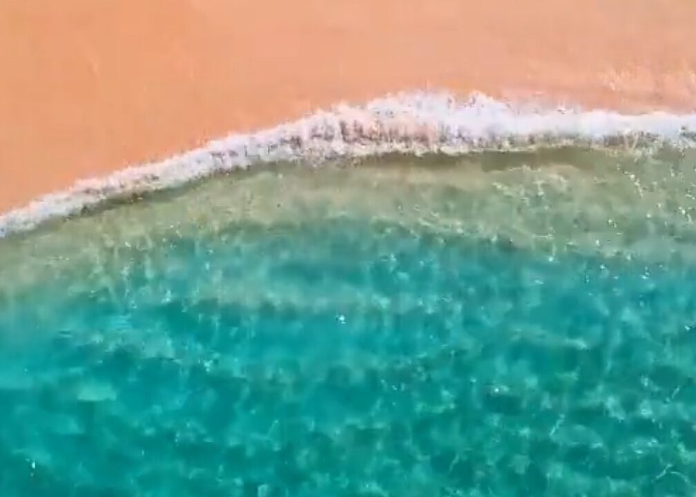 Screenshot_20240229_063914_Chrome