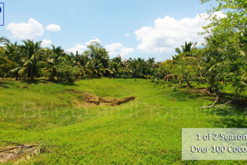 Second-Pond-on-property-1110x623