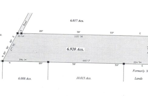 Survey-1102x623