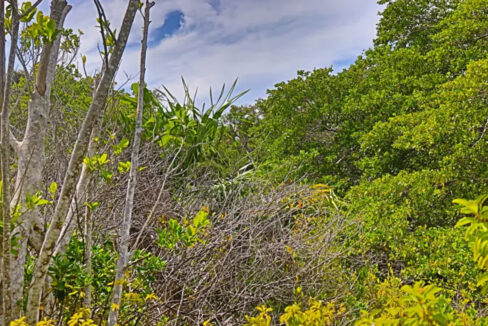 commercial_lot_near_blu_zen_001_caye_caulker_belize-1