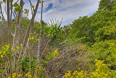 commercial_lot_near_blu_zen_002_caye_caulker_belize-1
