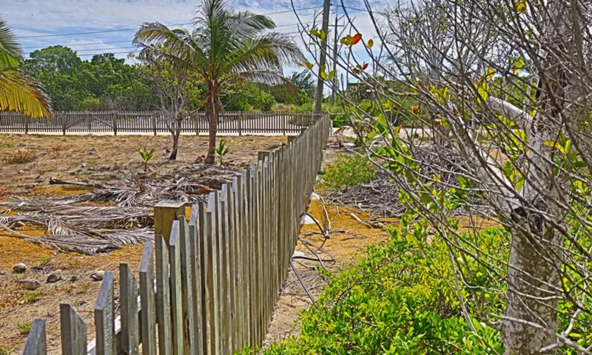commercial_lot_near_blu_zen_003_caye_caulker_belize-1
