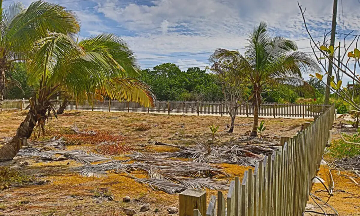 commercial_lot_near_blu_zen_004_caye_caulker_belize-1