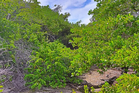 commercial_lot_near_blu_zen_005_caye_caulker_belize-1