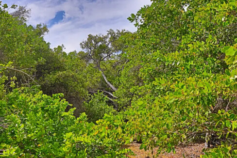 commercial_lot_near_blu_zen_007_caye_caulker_belize-1