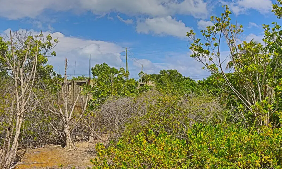 commercial_lot_near_blu_zen_008_caye_caulker_belize-1