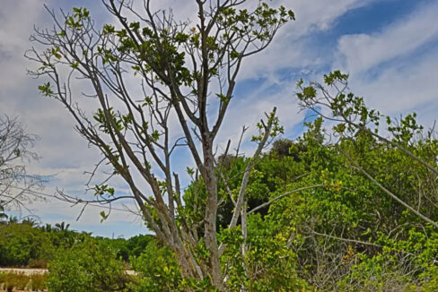 commercial_lot_near_blu_zen_009_caye_caulker_belize-1