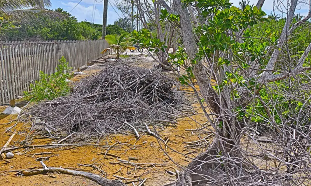 commercial_lot_near_blu_zen_011_caye_caulker_belize-1