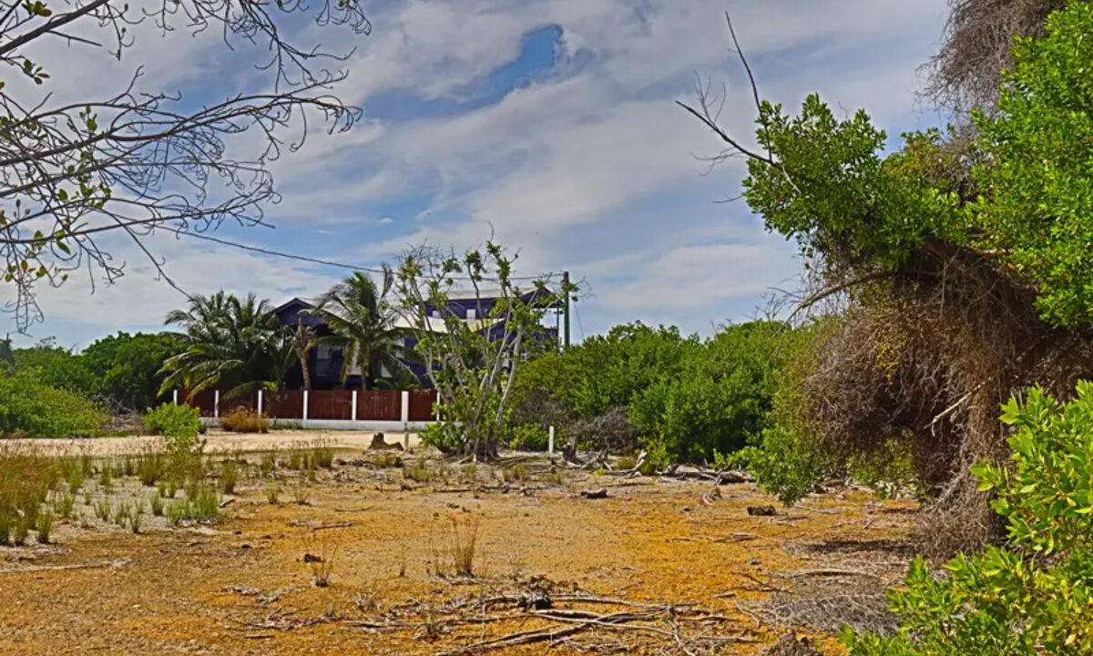 commercial_lot_near_blu_zen_015_caye_caulker_belize-1