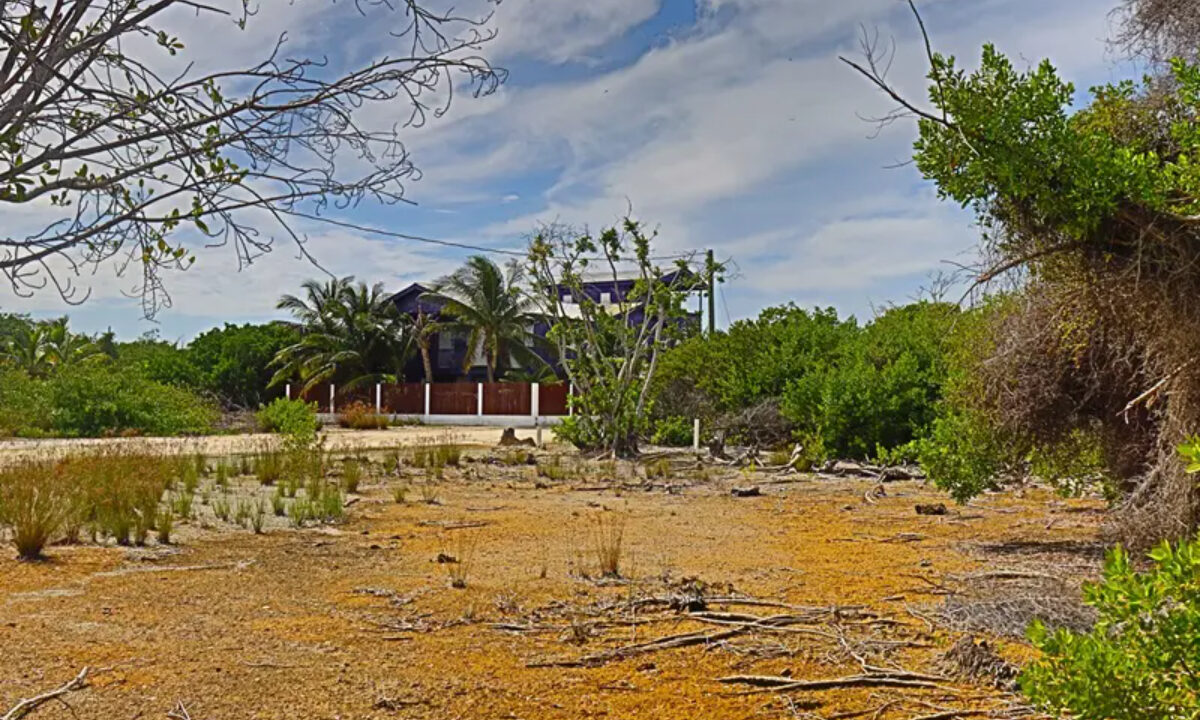 commercial_lot_near_blu_zen_016_caye_caulker_belize-1