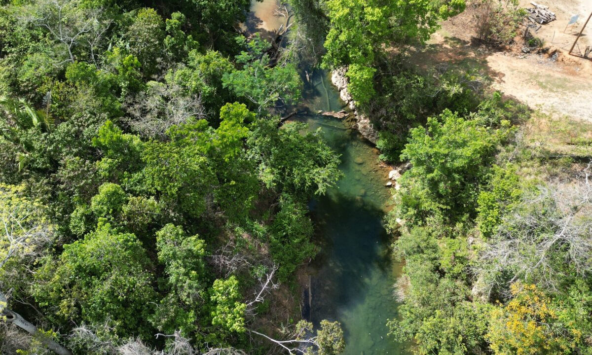 dji_fly_20250609_154146_119_1749504491235_photo-scaled