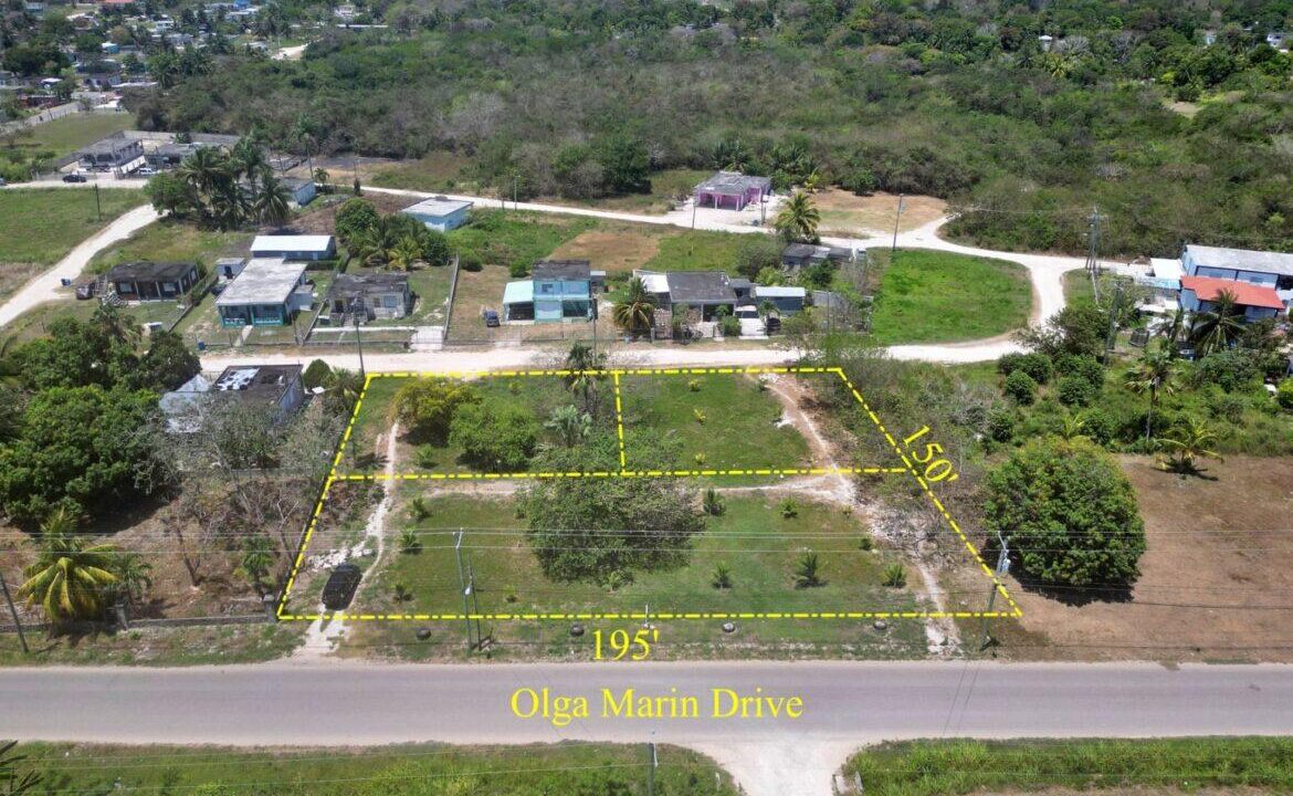ola-marin-drive-7-1170x760