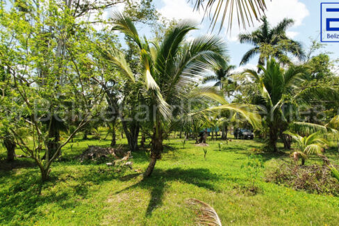 well-manicured-grounds-1110x623