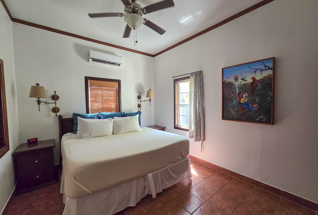 20250223_122424_web