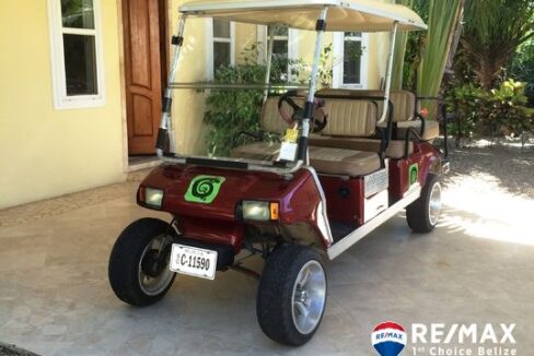 2579_GolfCart