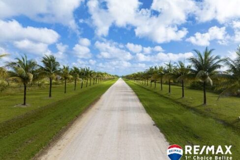 2996_Sanctuary_Belize_Development_Area_Photos22