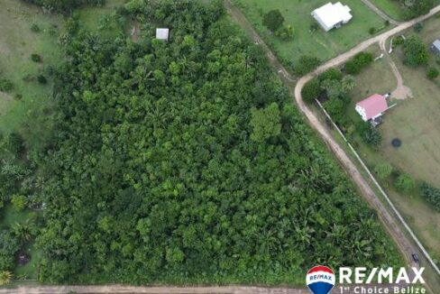 3002_dji_fly_20241031_131134_758_1730401902333_photo