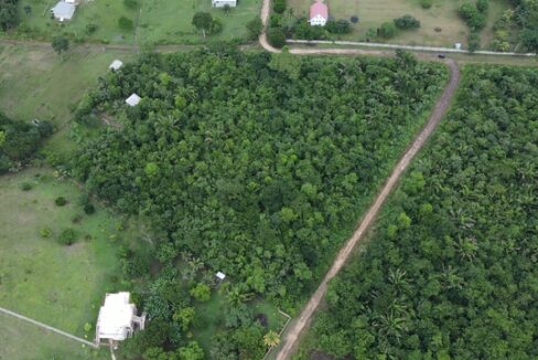 3002_dji_fly_20241031_131238_761_1730402019485_photo