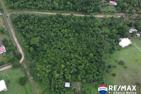 3002_dji_fly_20241031_131310_763_1730402080734_photo
