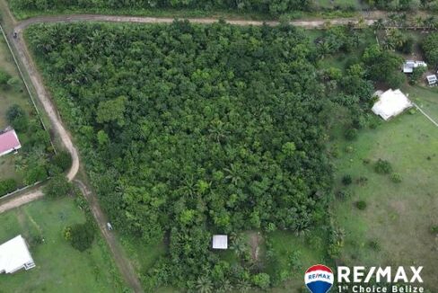 3002_dji_fly_20241031_131314_764_1730402145020_photo