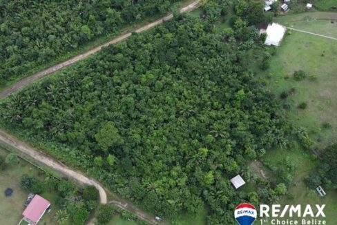 3002_dji_fly_20241031_131322_765_1730402154683_photo
