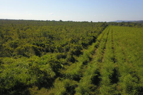 3037_DJI_0194