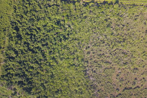 3037_DJI_0205