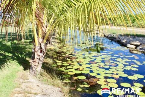 3109_canal_backyard