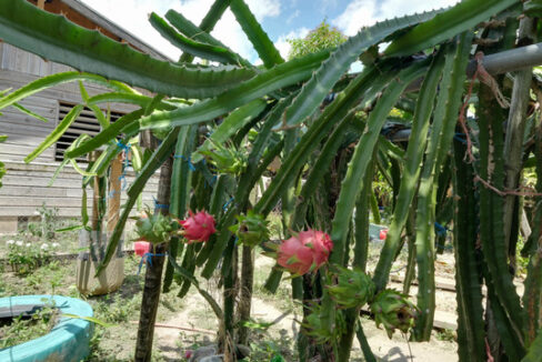 3218_20250514sc_homestead021