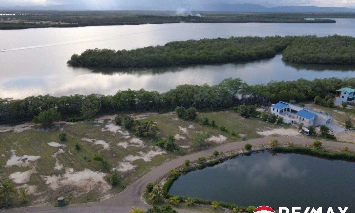 3295_DJI_0515