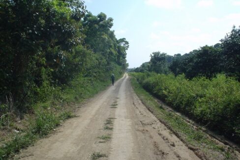 4.5-all-pinesRoad-Frontage-1