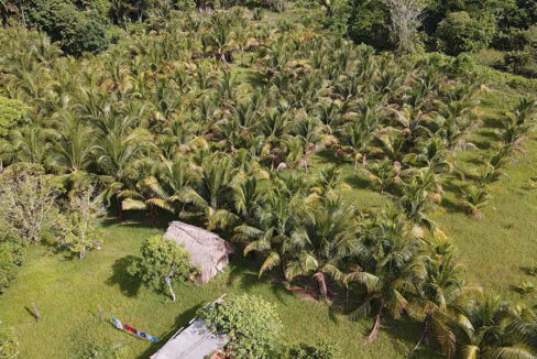 85-acre-farm-belize