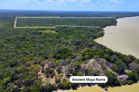 Ancient Maya Ruins