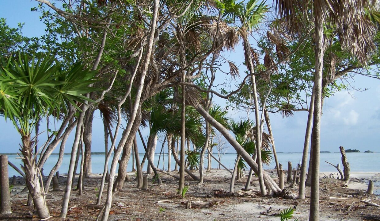Bracilette-Caye-25-ac-East-side-scaled