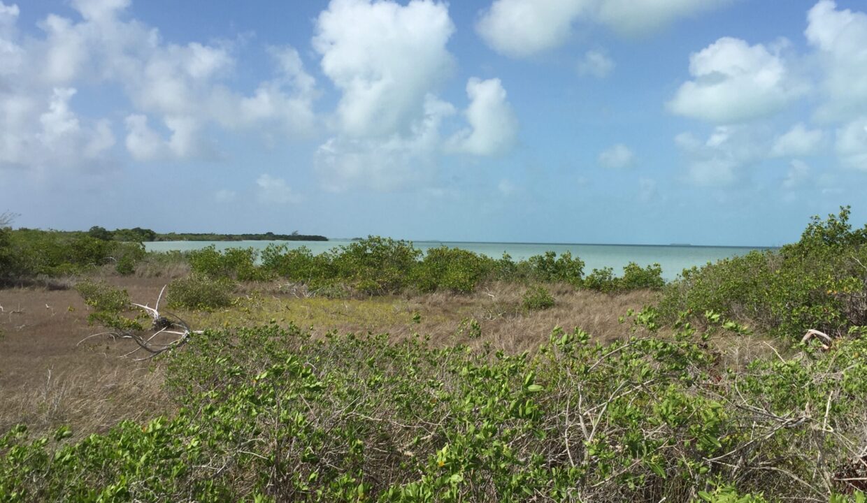 Bracilette-Caye-25-acre-land-topography-scaled