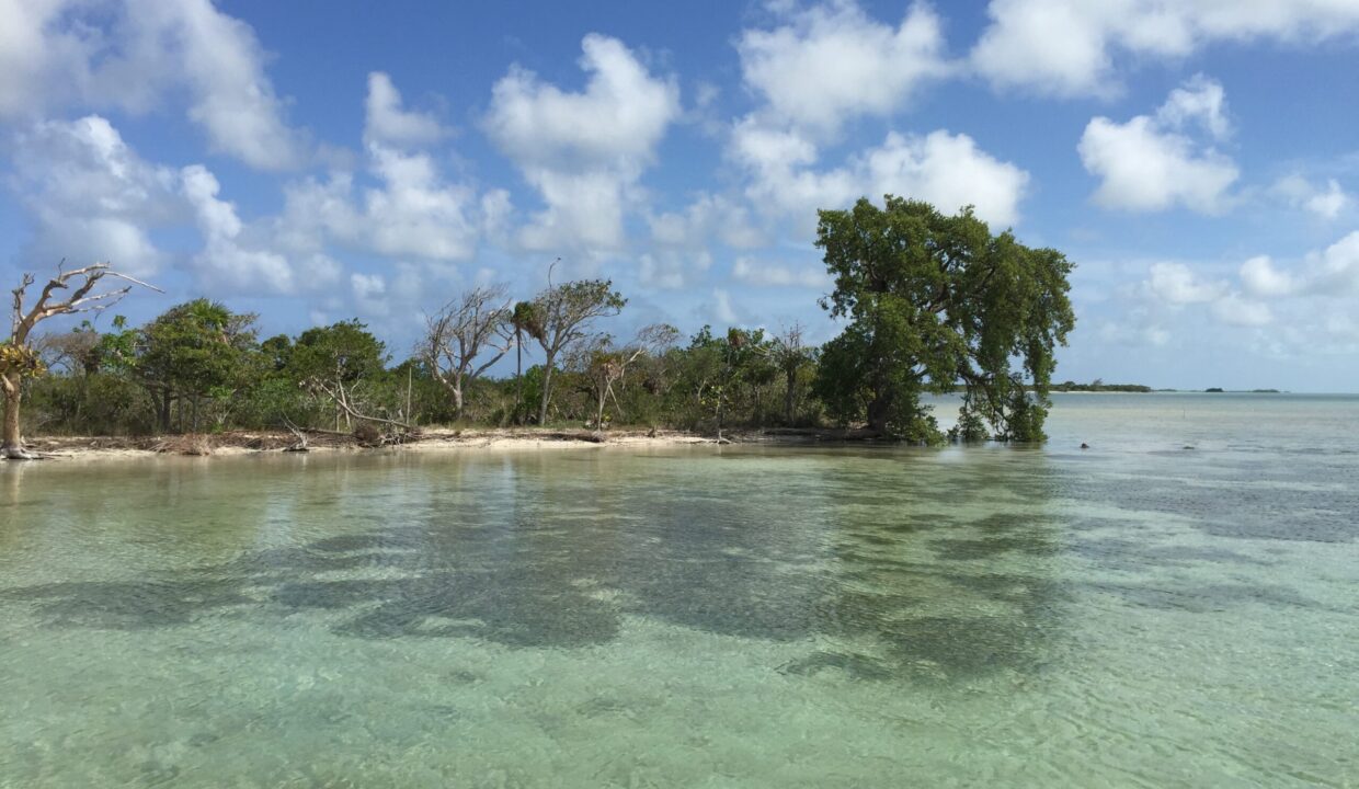 Bracilette-Caye-25-acre--scaled