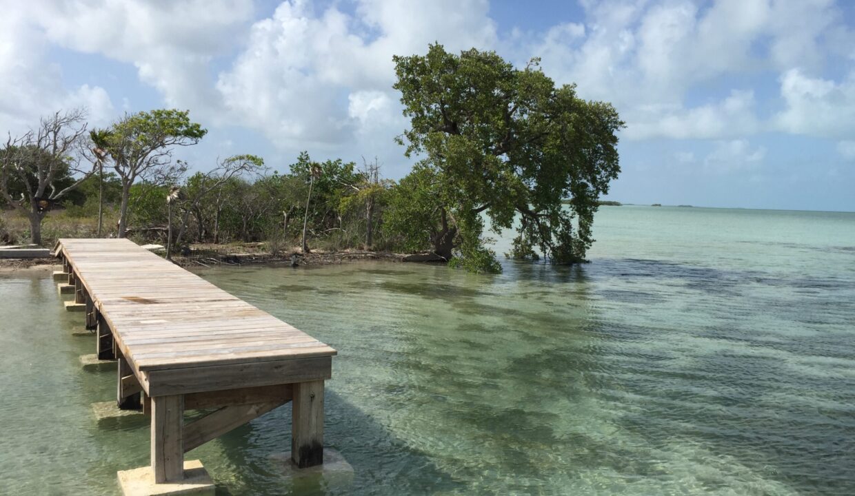 Bracilette-Caye-25-acre-with-pier--scaled
