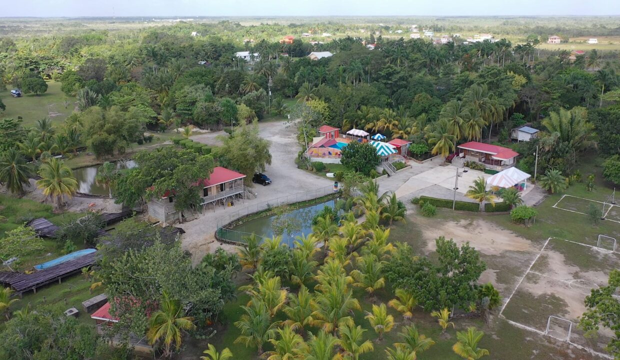 DJI_0352.00_00_17_26.Still002