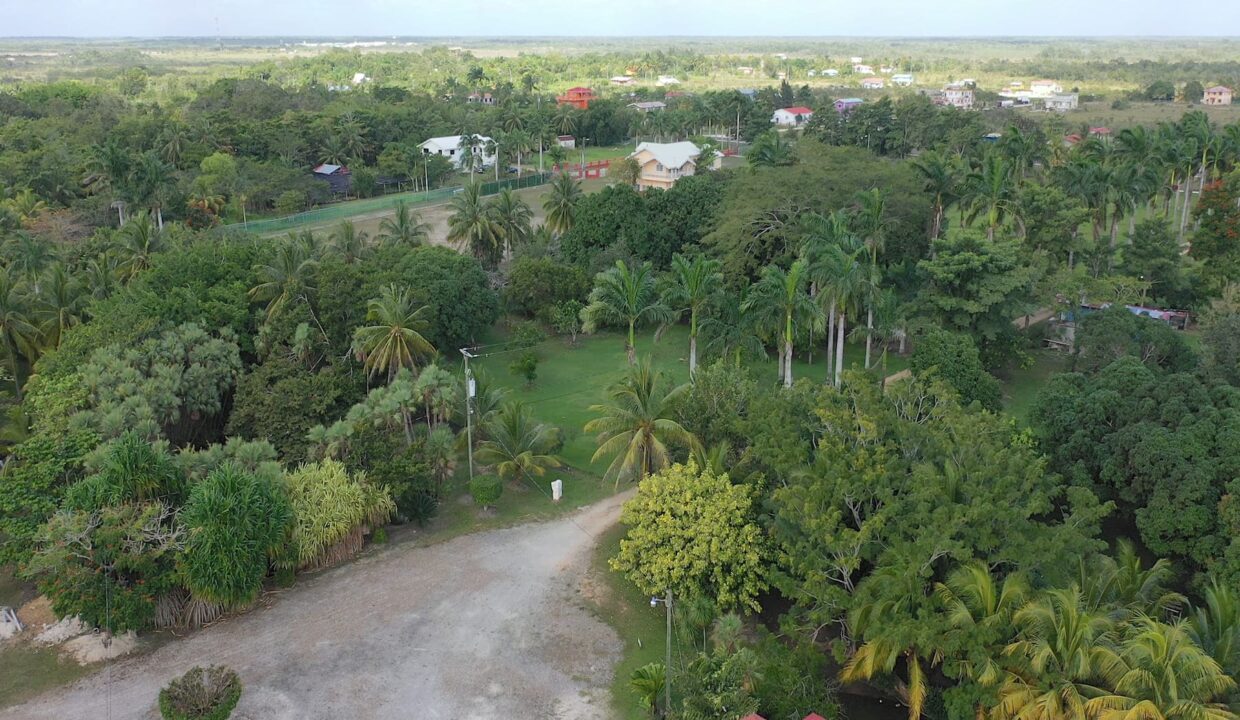 DJI_0352.00_00_31_06.Still003