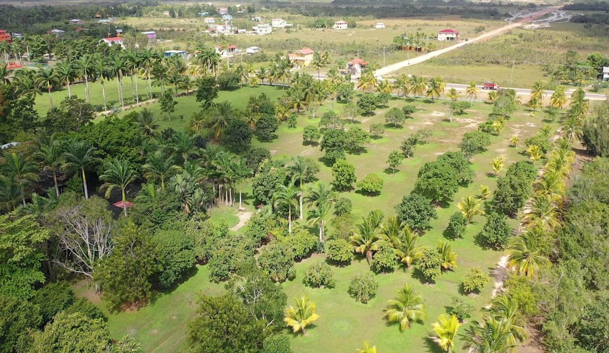 DJI_0352.00_01_07_15.Still008
